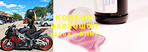 дживик Тайга