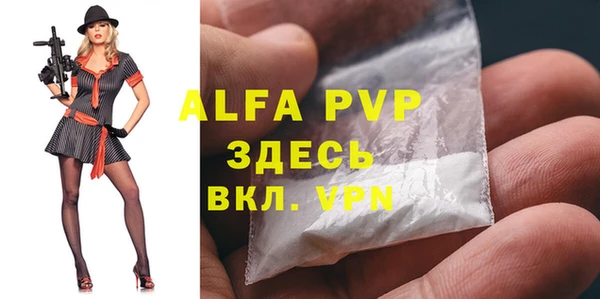 дживик Тайга