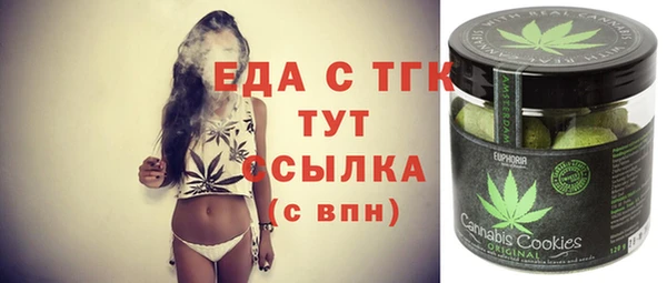 дживик Тайга