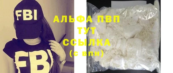 дживик Тайга