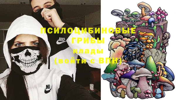 герыч Тавда