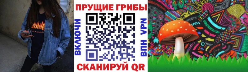 Галлюциногенные грибы мицелий  Купить  Геленджик 
